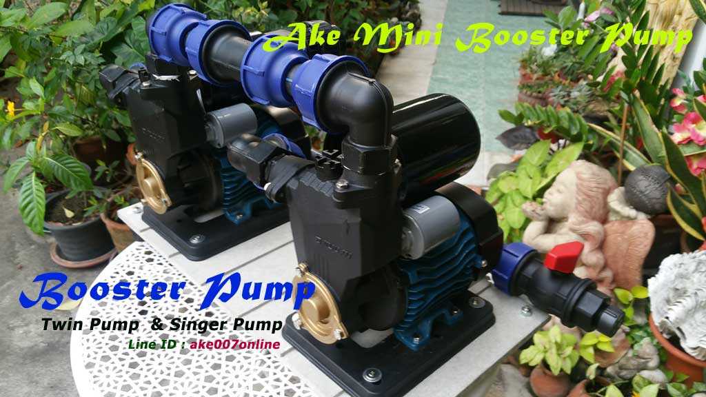 Booster Pump & Transfer Pump Twin Pump ԡõԴ駻Ӻҹ Ҥѡҹ  к зҹ Ӻҹ ӹѡҹ ๡ʧ ӢҴ 375 ѵ ç ֧ 1 ç 375W-1Hp ӢҴ ҤһѴ   